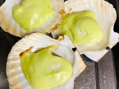 经典芝士日式青芥扇贝-炒豆合作社(东四总店)