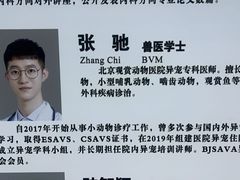 -北京观赏动物医院·24小时大型综合·猫专科·异宠专科