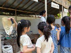 -大象粑粑造纸公园