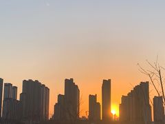 -麦当劳(济泺路店)