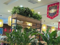 -大清花饺子(山庄店)