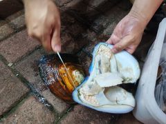 -白沙门生态公园