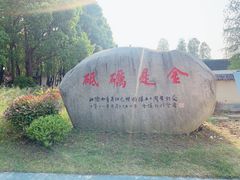 -同里国家湿地公园