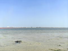 -北海金海湾红树林生态旅游区