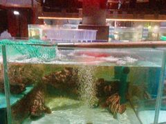 -阿伟海鲜楼·福建菜(延寿店)
