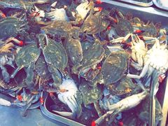 -春华海鲜城(广场西苑店)