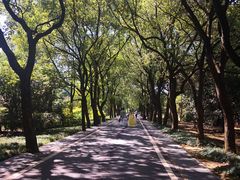 -东湖落雁景区