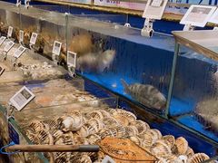 水产区-高佳庄·舟山海鲜(海景旗舰店)