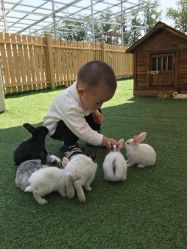 -萌宠亲子动物乐园(槐房万达店)