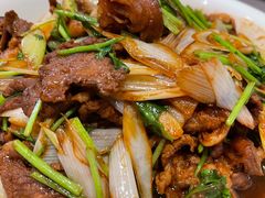 葱爆羊肉-燕春楼(海河华鼎店)