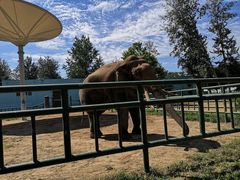 -石家庄市动物园