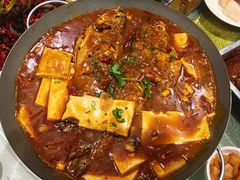 黄鱼烧豆腐-福苗小骆驼烧烤(大唐不夜城店)