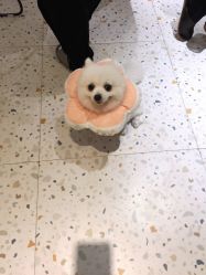 -MZ SKIN CARE逆齢驻颜中心