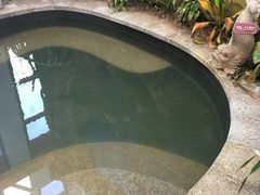 -悦隆庄温泉度假酒店