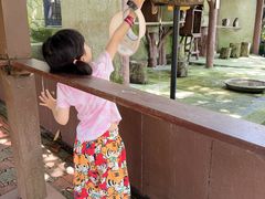 -吉隆坡雀鸟公园