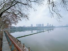 -李公堤