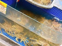 -骏莱海鲜鱼港(五角场店)