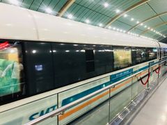 -龙阳路磁悬浮列车总站-停车场