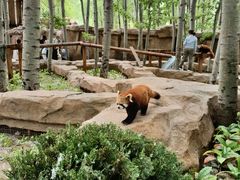 -北京野生动物园