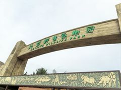 -北京野生动物园
