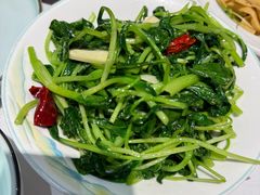 -凯鸽酒楼•雁北民间菜(云冈石窟店)