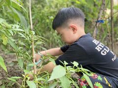 -硅谷蒙学幼儿园