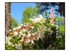 -国家植物园