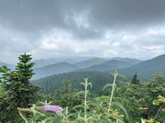 -武陵山森林公园