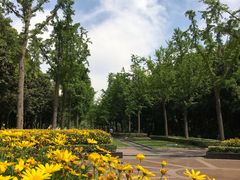 -苏州河梦清园环保主题公园