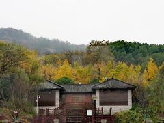 -白马涧龙池景区
