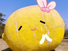 -顺峰山公园