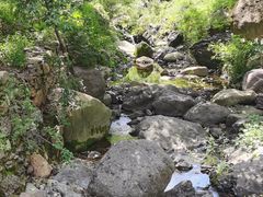 -云岫谷游猎自然风景区