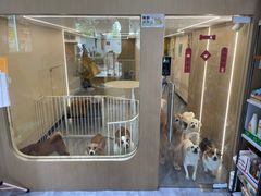 -奶牛家宠物酒店(嘉宏云顶店)