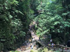 -藏龙百瀑风景区