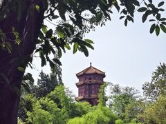 -房湖公园