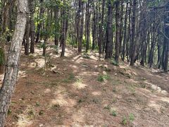 -南京市无想山景区