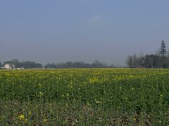 -中国天府农业博览园