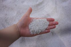 -大美儿童世界(奥林匹克水上公园店)