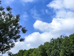 -汉长安城未央宫国家考古遗址公园