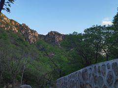 -大岭沟猕猴桃谷风景区