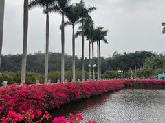 -广州莲花山旅游区
