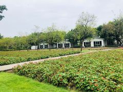 -广东花都香草世界旅游度假区