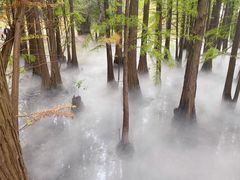 -东湖落雁景区