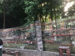 -黄桷坪涂鸦艺术街