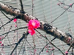 -循礼门(地铁站)