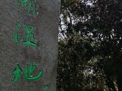 -溱湖国家湿地公园