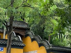 -观音山