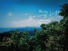 -帽儿山国家森林公园