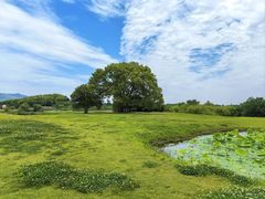 -良渚古城遗址公园