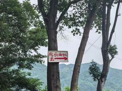 -南山植物园